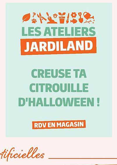 LES ATELIERS JARDILAND CREUSE TA CITROUILLE D'HALLOWEEN !