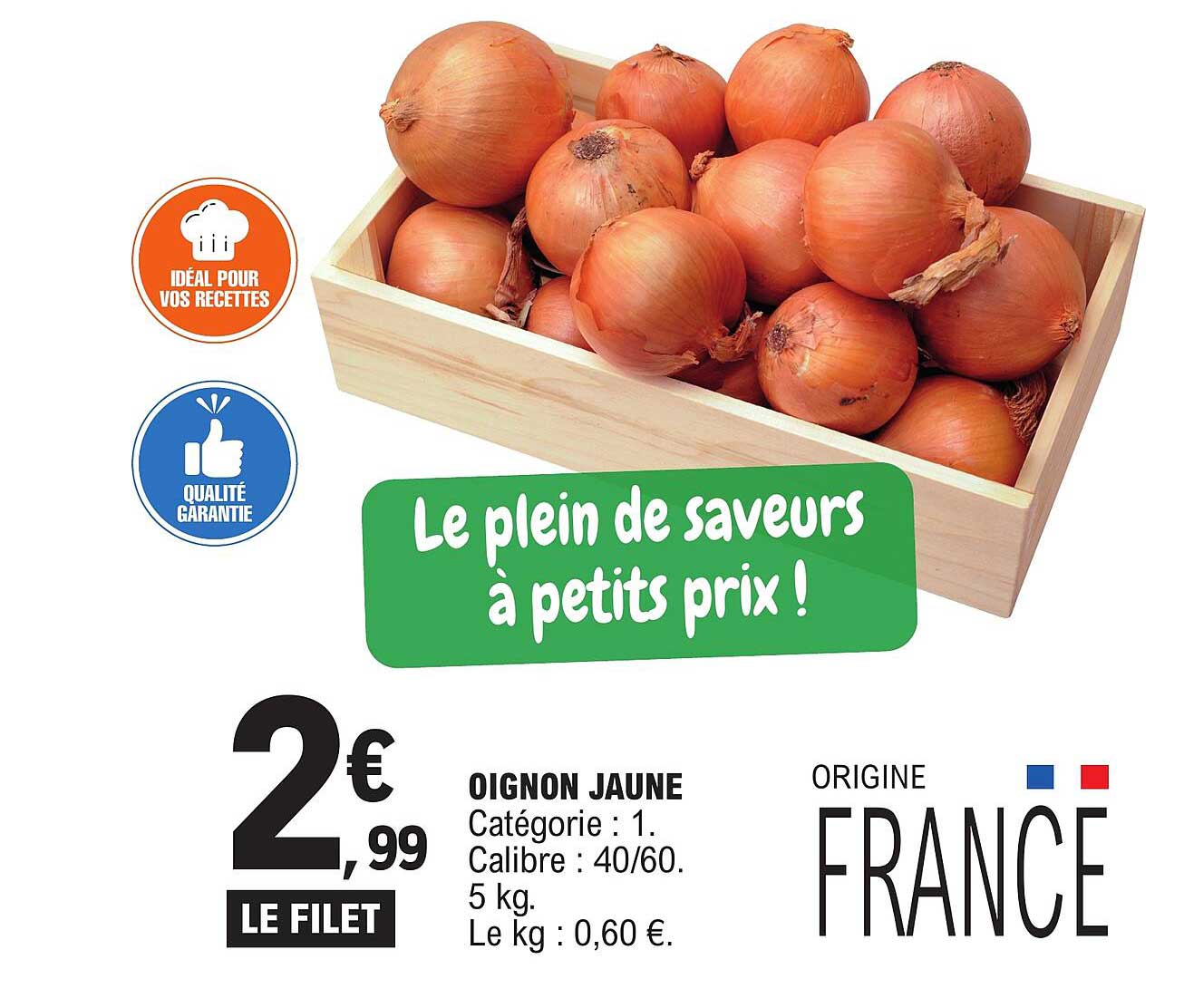 OIGNON JAUNE