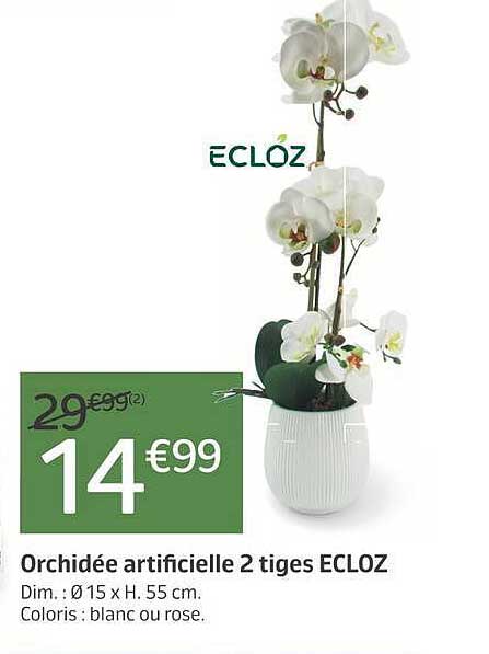 Orchidée artificielle 2 tiges ECLOZ