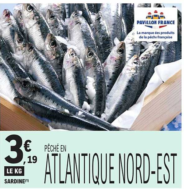 PÊCHÉ EN ATLANTIQUE NORD-EST SARDINE(1)