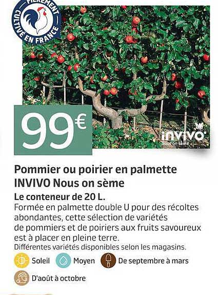Pommier ou poirier en palmette INVIVO Nous on sème