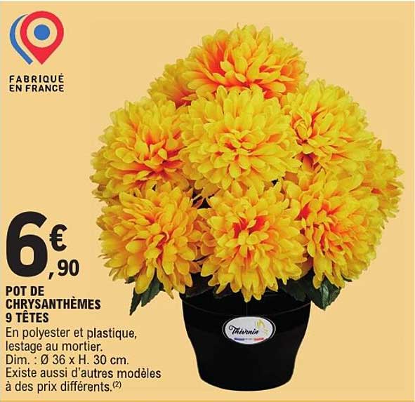 POT DE CHRYSANTHÈMES 9 TÊTES