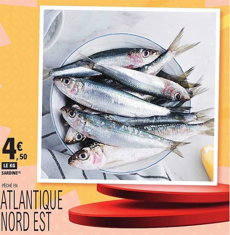 SARDINE³ PÊCHÉ EN ATLANTIQUE NORD EST
