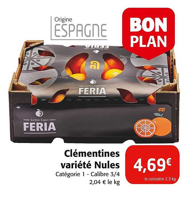 Clémentines variété Nules