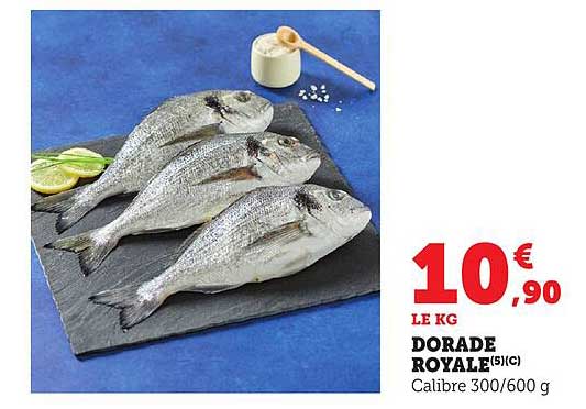 DORADE ROYALE (5/1 C)