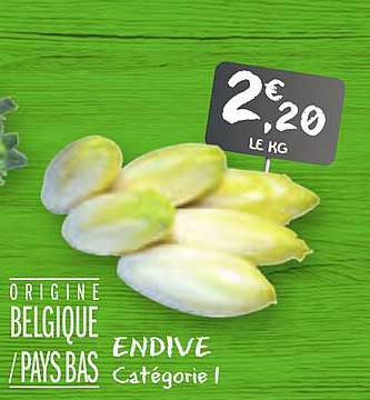 Endive catégorie 1