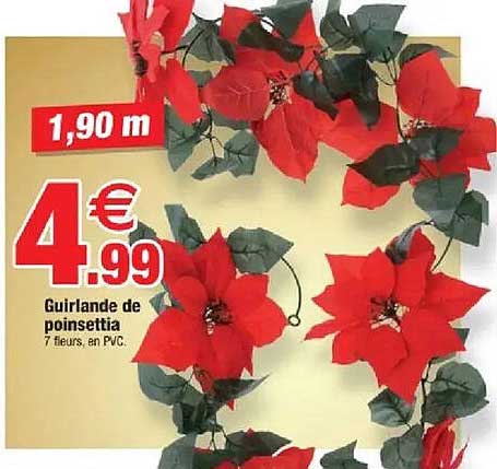 Guirlande de poinsettia