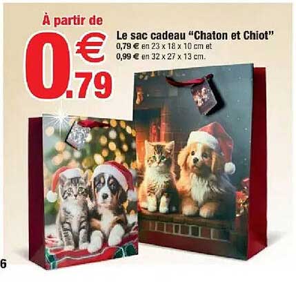 Le sac cadeau "Chaton et Chiot"