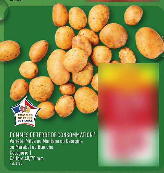 POMMES DE TERRE DE CONSOMMATION