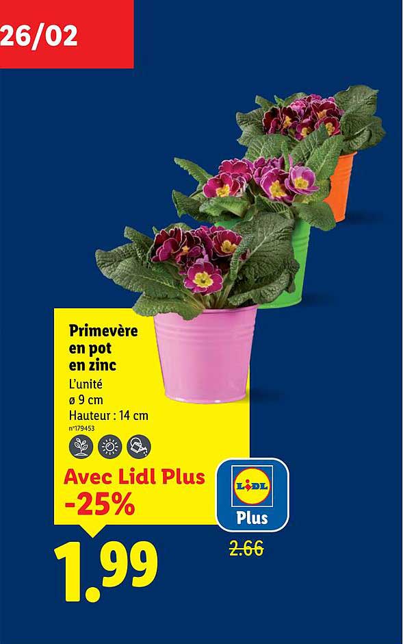 Sitemapcdatahttpsaudekniqoocompivoine En Pot Lidl