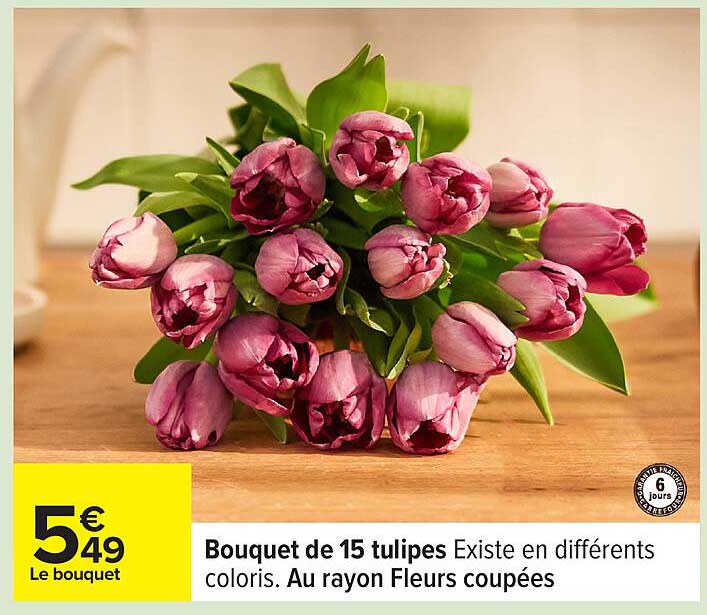 Sitemapcdatahttpneedsmixel Thicoipeinfopot De Fleur Carrefour