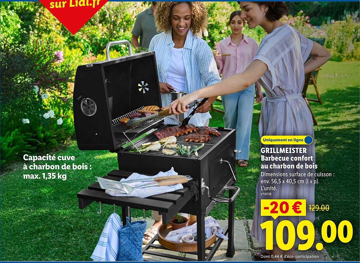 Barbecue Charbon Lidl 2022null