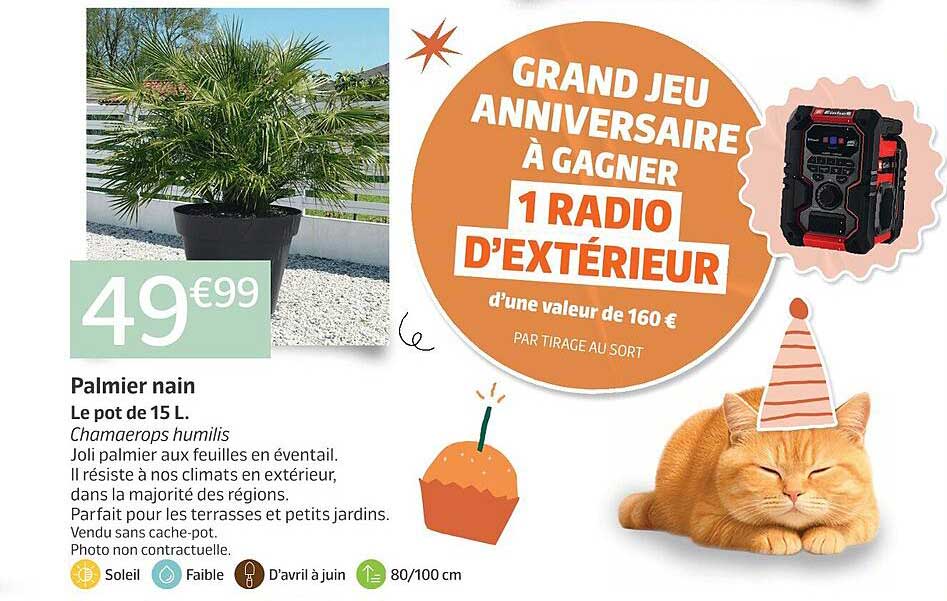 Sitemapcdatahttpsshopinf Inetcompalmier Exterieur Jardiland