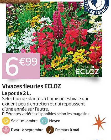 Sitemapcdatahttpswen2windecoocomplantes Fleuries Chez Jardilandnull