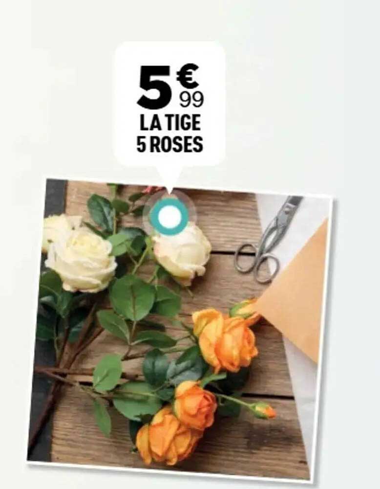 5 € 99 LA TIGES 5 ROSES