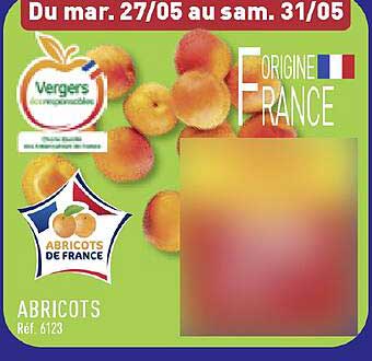 Abricots de France