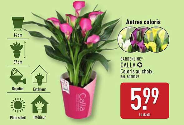 GARDENLINE® CALLA Coloris au choix.