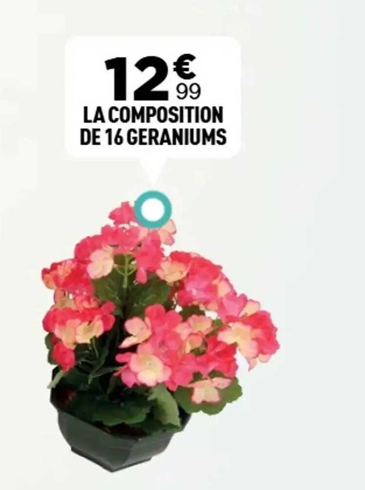 LA COMPOSITION DE 16 GERANIUMS