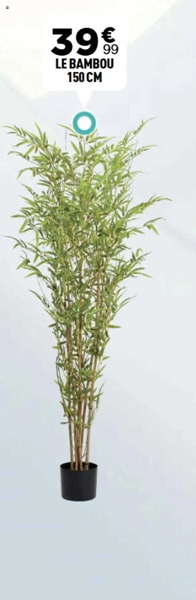 LE BAMBOU 150 CM