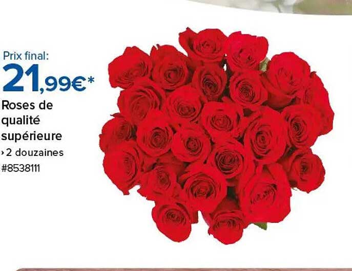 Roses de qualité supérieure