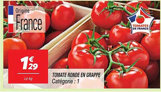 TOMATE RONDE EN GRAPPE