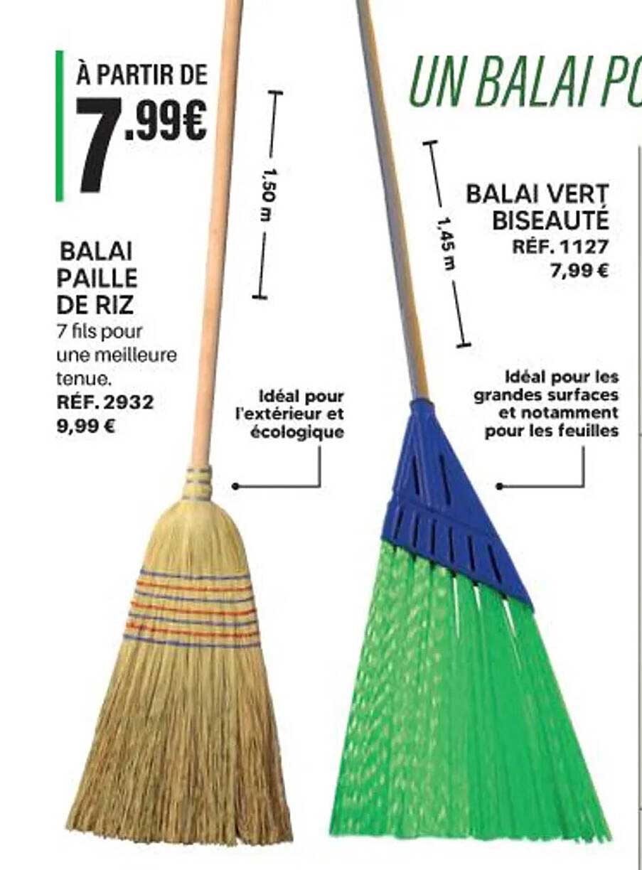 BALAi PAILLE DE RIZ