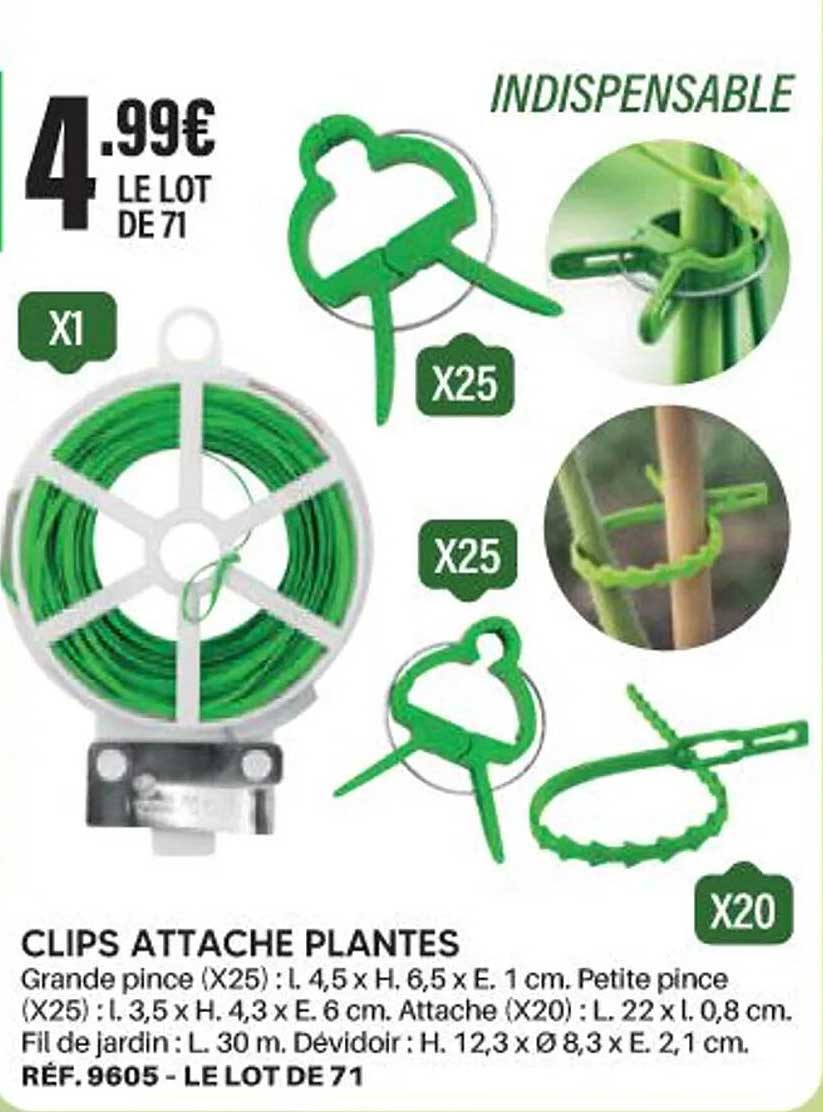 CLIPS ATTACHE PLANTES
