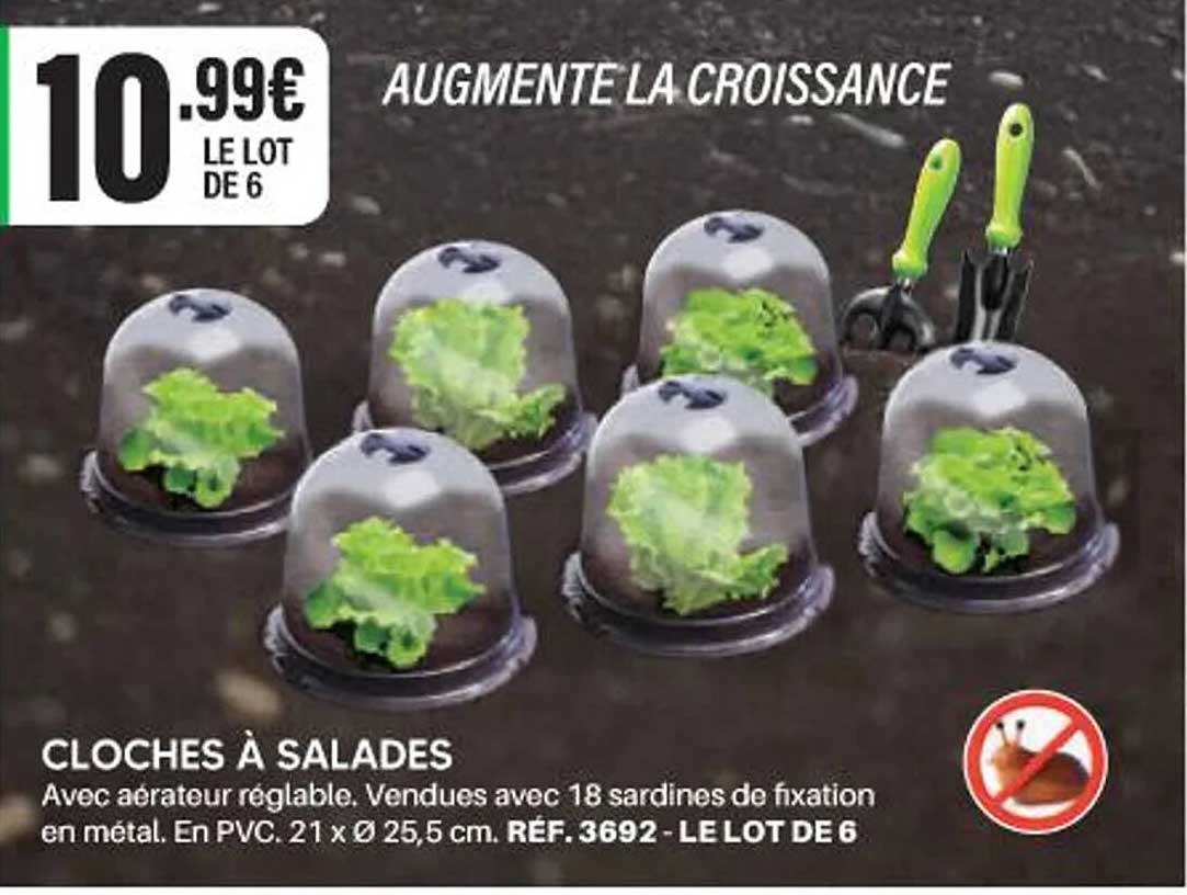 CLOCHES À SALADES