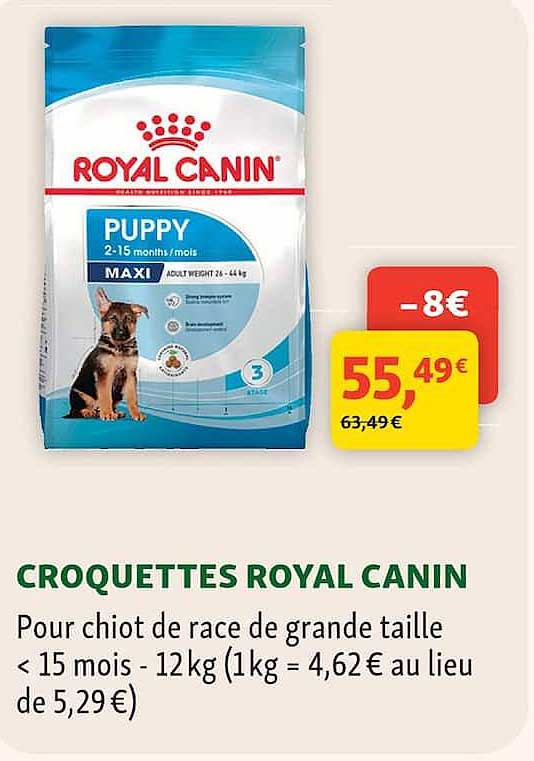 CROQUETTES ROYAL CANIN