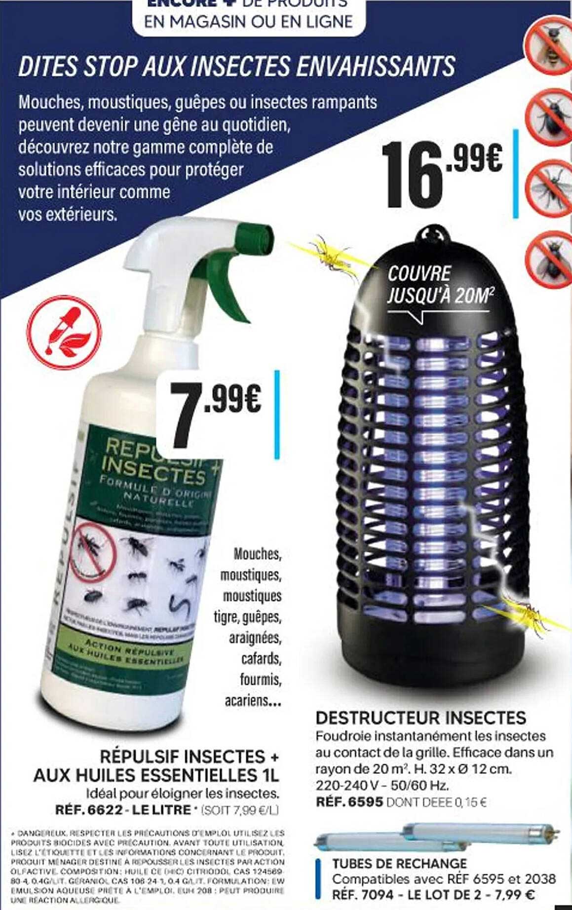 DITES STOP AUX INSECTES ENVAHISSANTS