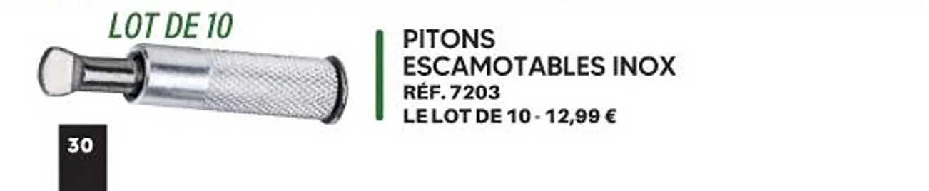 PITONS ESCAMOTABLES INOX