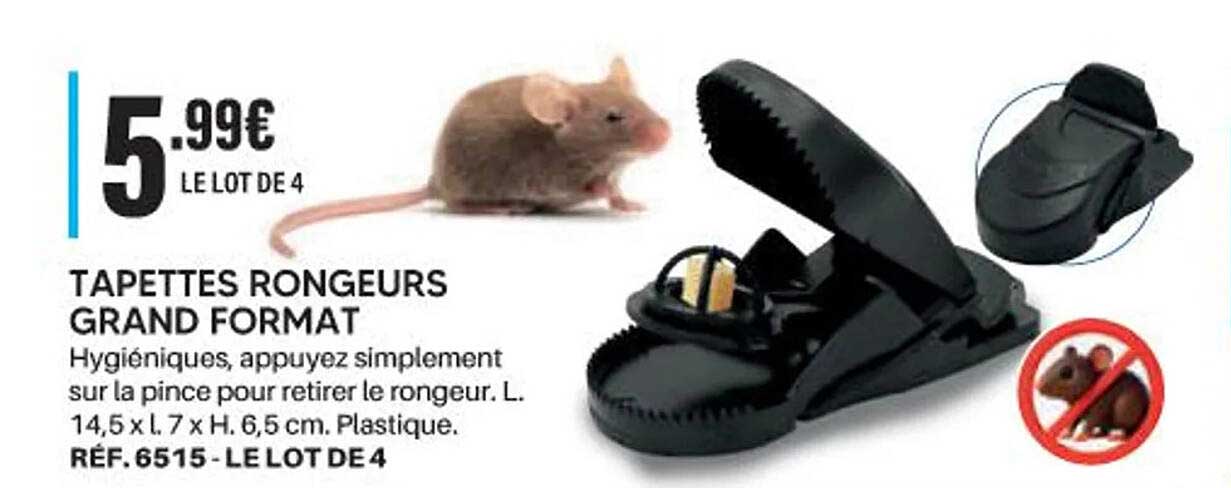TAPETTES RONGEURS GRAND FORMAT
