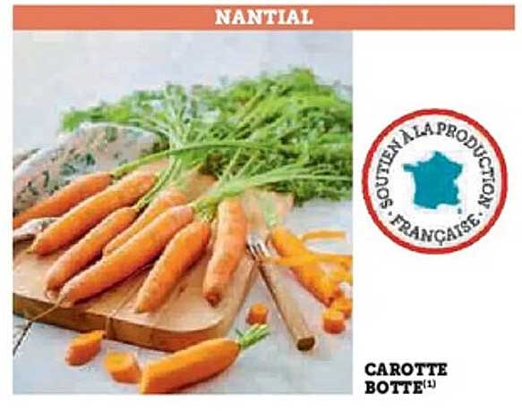 CAROTTE BOTTE