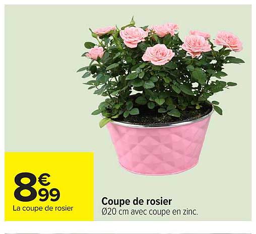 Coupe de rosier