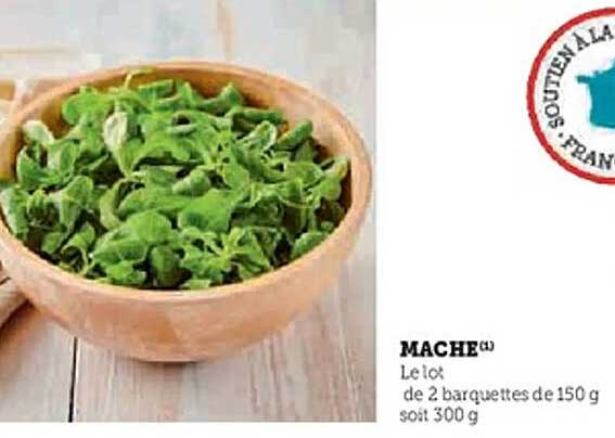 MACHE