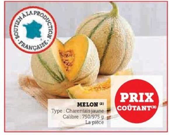 MELON (2)