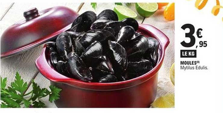 MOULES® Mytilus Edulis