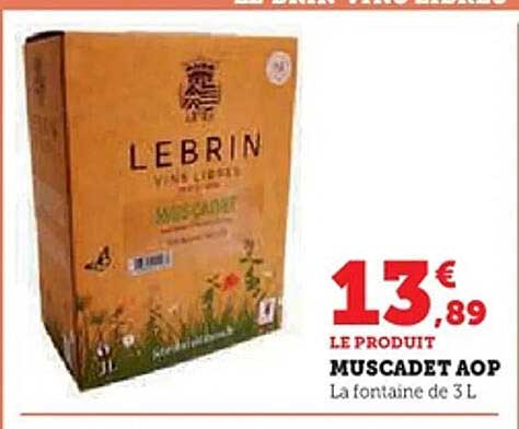 MUSCADET AOP La fontaine de 3 L
