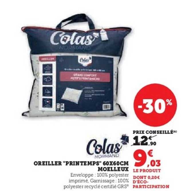 OREILLER "PRINTEMPS" 60X60CM MOELLEUX