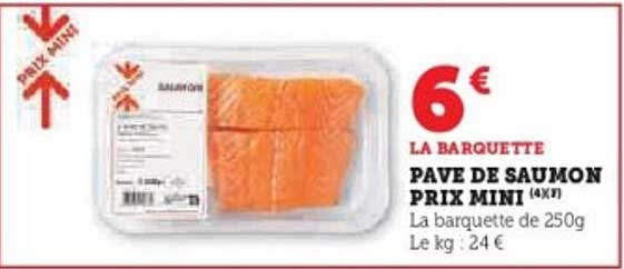 PAVE DE SAUMON PRIX MINI