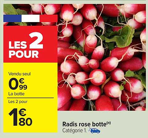 Radis rose botte(n)