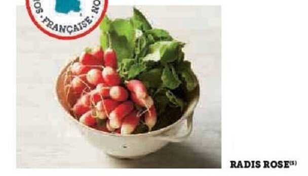 RADIS ROSE