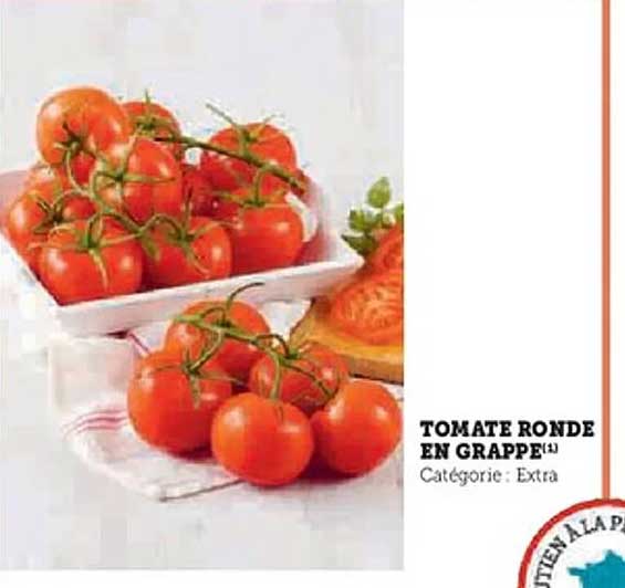 TOMATE RONDE EN GRAPPES