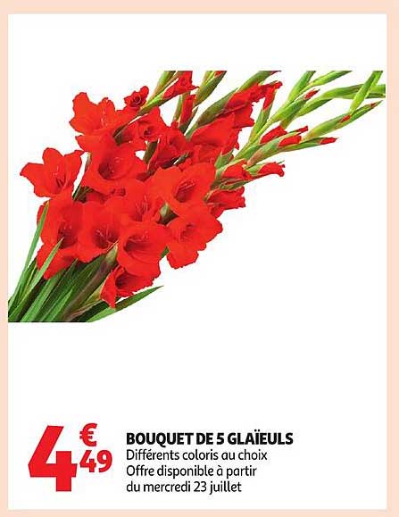 BOUQUET DE 5 GLAÏEULS