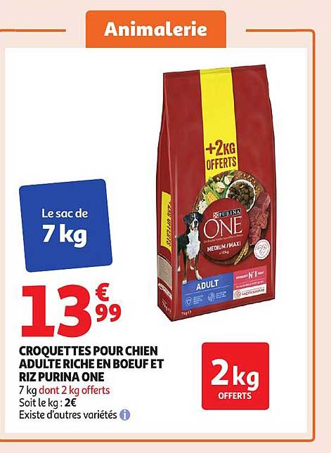 CROQUETTES POUR CHIEN ADULTE RICHE EN BOEUF ET RIZ PURINA ONE
