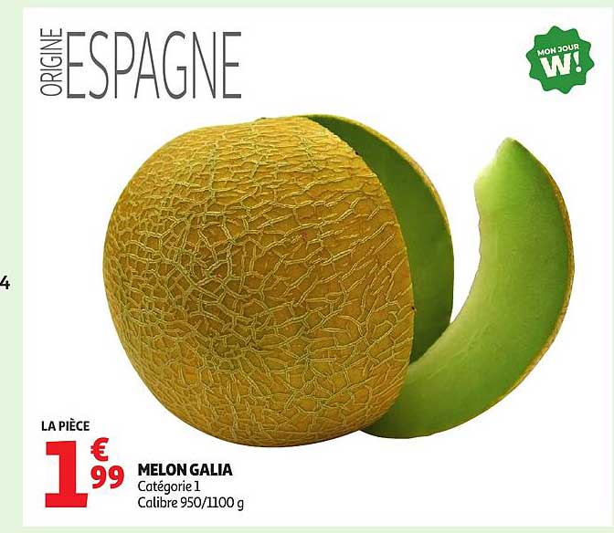MELON GALIA