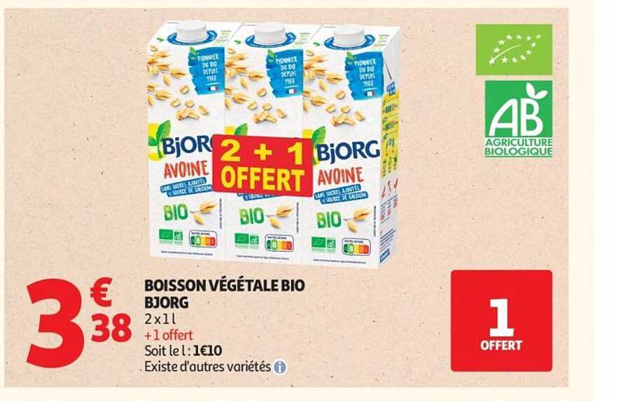 BOISSON VÉGÉTALE BIO BJORG