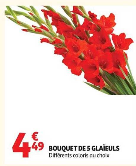 BOUQUET DE 5 GLAÏEULS