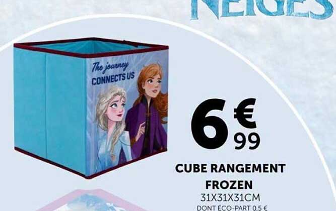CUBE RANGEMENT FROZEN
