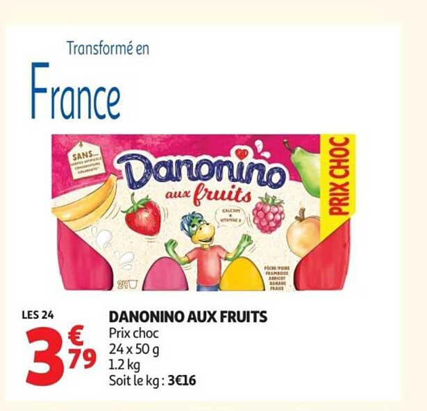 DANONINO AUX FRUITS